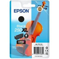EPSON Singlepack Black 250XL ink