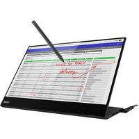 Lenovo ThinkVision M14t - LED monitor - Full HD (1080p) - 14"