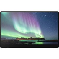 Ricoh 150 - OLED monitor - Full HD (1080p) - 15.6"