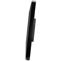 HANNSPREE HO245PTB 60,45cm (P)