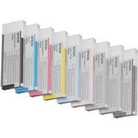 EPSON 5LB T6067 ink cartridge light blac