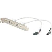 StarTech.com 2 Port USB A Female Low Profile Slot Plate Adapter - 2 Port USB Bracket - USB 2.0 A Female (USBPLATELP) - USB panel - USB to 5 pin in-line