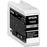 Epson UltraChrome Pro T46S9 - light grey - original - ink tank