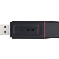Kingston DataTraveler Exodia - USB flash drive - 256 GB
