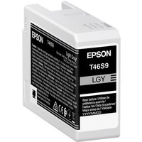 Epson UltraChrome Pro T46S9 - light grey - original - ink tank