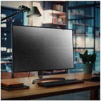 STARTECH 80,01cm Monitor Blickschutzfilt
