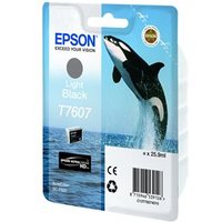 EPSON 5LB T7607 ink cartridge light