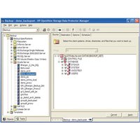 Micro Focus Data Protector Backup Drive - licence - 1 additional drive