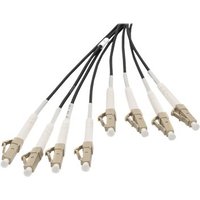 DIGITUS Breakout cable 8 Fibers OM4 30m