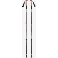 Photos - Trekking Pole Black Diamond Trail Vista Shock black grey (pair)