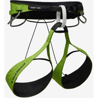 Photos - Climbing Gear Black Diamond Vision Airnet RECCO Harness Green Black - XL