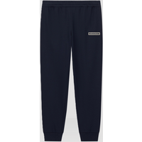 pantalone jogger logo series da uomo blu