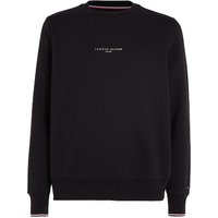 Men's sweatshirt Tommy Hilfiger MW0MW33639BDS