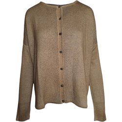 Alessandro Aste Maglie Cammello/Grigio