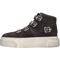 ASH Sneakers Grigio