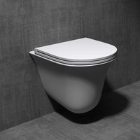 Rimless Wall Hung Toilet D Shape WC Pan With Soft Close Seat - Aachen 116