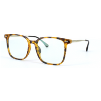 Edward Scotts Shelly - Matt Tortoise