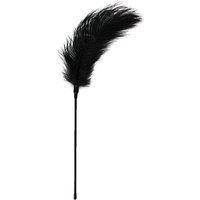 Easytoys Fetish - Fouet à plumes noir