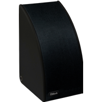 SB-100 schwarz Streaming-Lautsprecher