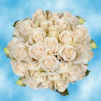 100 Gorgest Flowers Wholesale