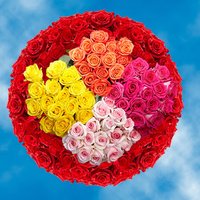 250 Assorted Color Roses