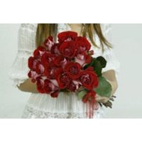 Roses-Gerberas-Fillers Combo