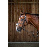 Dyon Working Collection Trense mit mexikanischem Reithalfter
