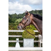 Dyon New English Collection Trense mit kombiniertem Reithalfter Schwedisch