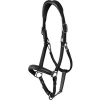 Dyon Working Collection 2 in 1 Transport u. Stallhalfter aus Leder