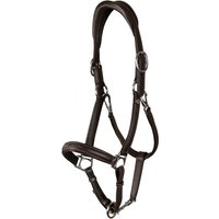 Dyon Working Collection 2 in 1 Transport u. Stallhalfter aus Leder