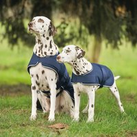 Waldhausen Hunde Regendecke - marine, Größe 45 cm