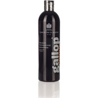 Carr & Day & Martin Gallop Farbglanz Shampoo Rappe 500 ml