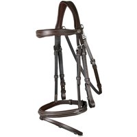 Dyon Working Collection Trense mit kombiniertem Reithalfter