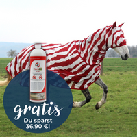 HorSeven BuzzOff Fullneck Zebra Fliegendecke GRATIS KerbEX rot