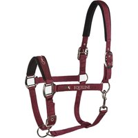 Equiline Timmy Halfter