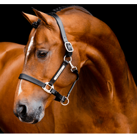 Horseware Signature Lederhalfter