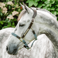 Horseware Signature anatomisches Lederhalfter