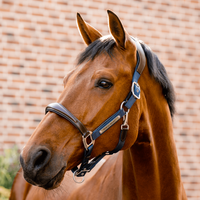 Horseware Signature Competition anatomisches Lederhalter