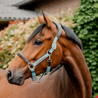 Horseware Signature Competition anatomisches Lederhalter - brown/blue, Größe Pony