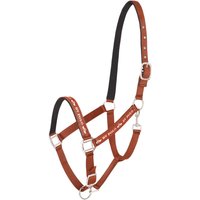 HV Polo HVPNena Halfter