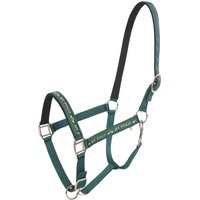 HV Polo HVPNena Halfter