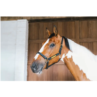 Kentucky Horsewear Leder Halfter Wellington