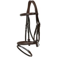 Dyon Trense mit kombiniertem Reithalfter und Karabiner WBD