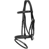 Dyon Trense mit kombiniertem Reithalfter und Karabiner WBD