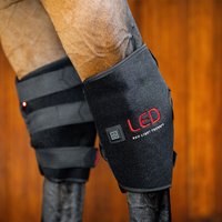 Horseware LED Red Light Therapy Sprunggelenkbandage