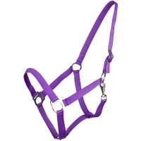 QHP Halfter mit Schiebeschnalle - passion flower, Größe Pony