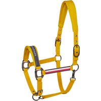 Tommy Hilfiger Equestrian Yale Set Halfter mit Führstrick