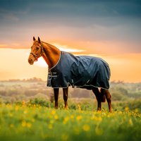 Horseware Amigo Ripstop 900D Original 0g