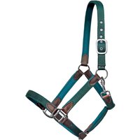 Euroriding Halfter Cholet Nylon-Neopren-Leder - grün, Größe Pony