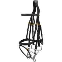 Dyon Kandare mit kombiniertem Reithalfter D Collection